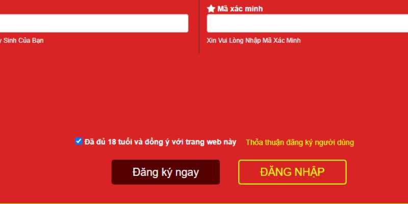 Chinh Phục Thế Giới Online Hướng Dẫn Đăng Ký HELLO88 Từ A-Z 2 Độ tuổi đăng ký HELLO88 cá cược chất lượng cao
